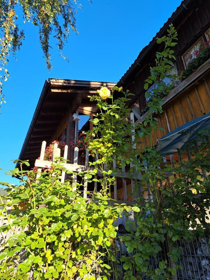 Ferienwohnung Gipfelsturmer Gunzesried Bagian luar foto